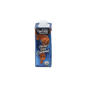 Dayfresh Chocolate Salted Caramel Milk 225ml - Snapcart.pk