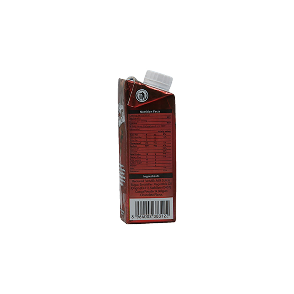 Dayfresh Belgian Chocolate Milk 225ml - Snapcart.pk