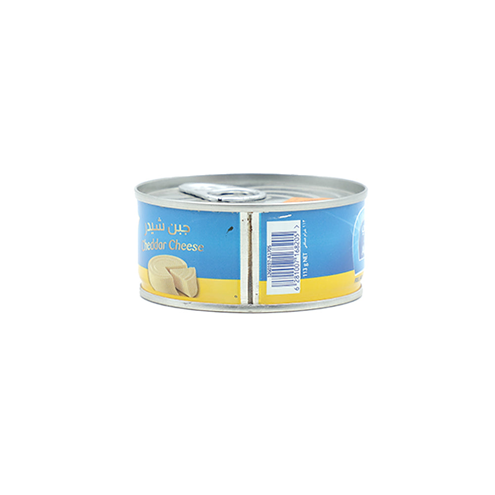 Almarai Cheddar Cheese 113g - Snapcart.pk