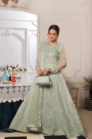 Dressline Launching New Semi Stitched 3 Pc Luxury Emb Organza Maxi Collection 2025