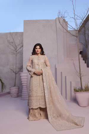 Dressline Dastangoi Unstitched 3 Piece Luxury Emb Organza Collection