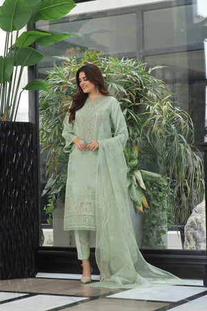 Dressline Neva Stitched 3 Piece Emb Luxury Organza Collection