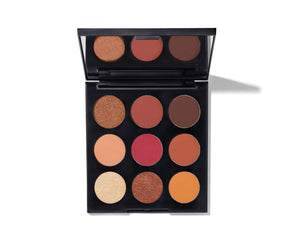 Morphe 9D Painted Desert Artistry palette