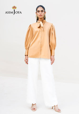 Asim Jofa Day To Day '23 Ajdt-04 Stitched (1-Pc)
