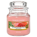 Yankee Candle Sun Drenched Apricot Rose 104G