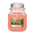Yankee Candle Classic Medium Jar Last Paradise 411G
