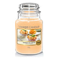 Yankee Candle Classic Mango Ice Cream 623G