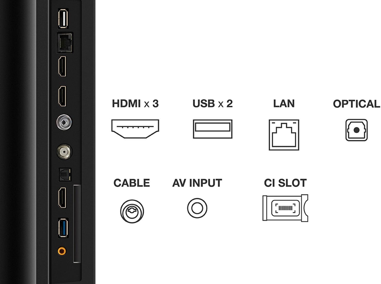 TCL 50P755K 50-inch 4K HDR TV, Smart TV Powered by Android TV - My Store