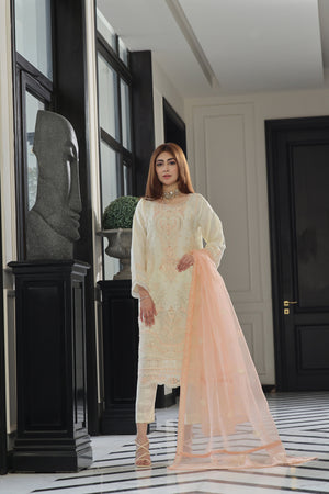 Dressline Neva Stitched 3 Piece Emb Luxury Organza Collection