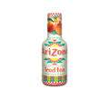 Arizona Iced Tea With Peach Flavour 500ml - Snapcart.pk