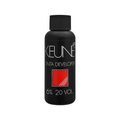 Kuene Tinta Developer 6% Vol 20 60ml - Snapcart.pk