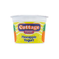 Cottage Foods Pineapple Yogurt 100g - Snapcart.pk