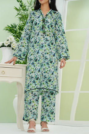 Aizal Stitched 2 Piece Co Ords Prints 2 Collection'2025-AC2-674-Sky Blue