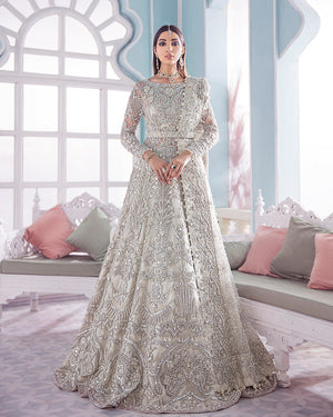 Shehrnaaz By Gulaal Unstitched 3 Piece Bridal Collection'2020-Eredita B-4