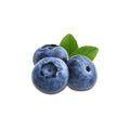 Snapcart Blueberry (Imp) / BOX - Snapcart.pk