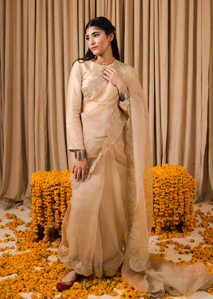 Chamak Dhamak By Pashma Khan Eid Collection'2025-Zarnoor