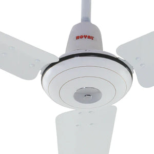 Royal - Deluxe Ceiling Fan - My Store