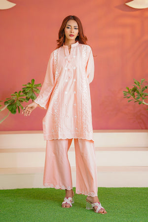 Daily Desire By Abeera Stitched 2 Piece Cotton Collection'2025-Everyday Elegance