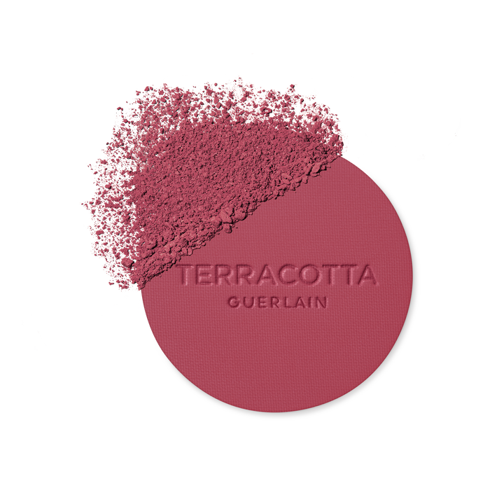 Guerlain Terracotta Blush Healthy Glow Powder