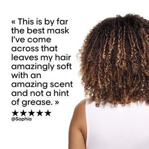 L'Oreal Professional - Serie Expert Absolute Repair Mask 250 ML - For Dry & Damaged Hair - My Store