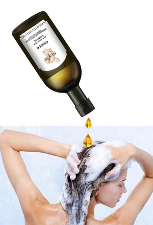 MUICIN - Ginger Anti Hair Loss Shampoo - 400ml - My Store