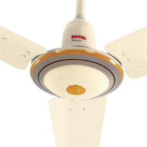 Royal - Platinum Ceiling Fan - My Store