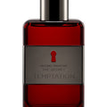 Antonio Banderas The Secret Temptation For Men EDT 100Ml