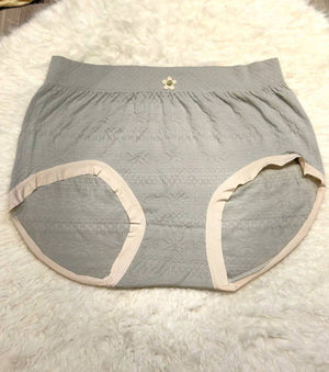 Sajiero Plus Size Extra Stretchable Brief Cotton Panty premium quality underwear for women  best price in Pakistan online