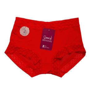 Sajiero TCC Embroidery Net Brief Cotton Panty - My Store