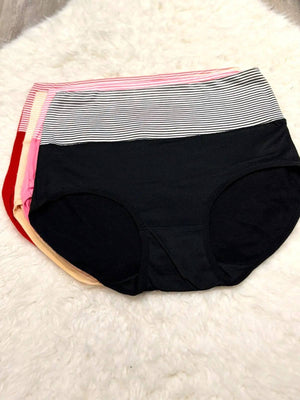 Sajiero Wasit Rib Brief Cotton Panty - My Store