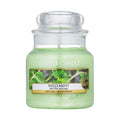Yankee Candles Classic Small Jar Wild Mint 104G