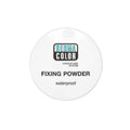 Kryolan- Dermacolor Fixing Powder - P2 20gm