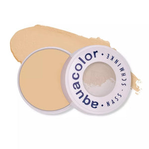 KRYOLAN AQUA WET CAKE