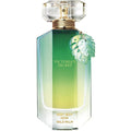 Victoria Secret Very Sexy Now Wild Palm Edp For Women 100Ml
