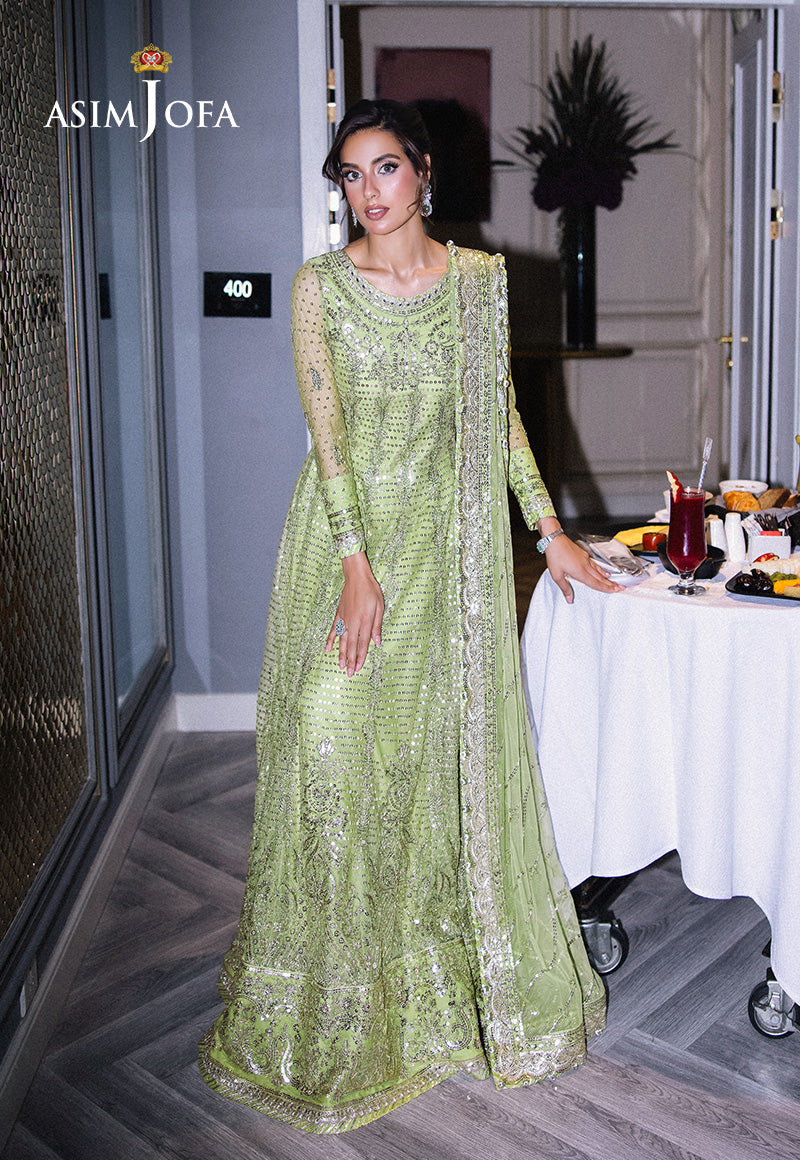 Asim Jofa Festive 25 Ajff-04 Embroidered Net 3 Pcs