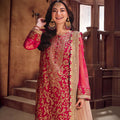 Asim Jofa Chamkeeli Ajkk-14 Embroidered Net 3 Pcs