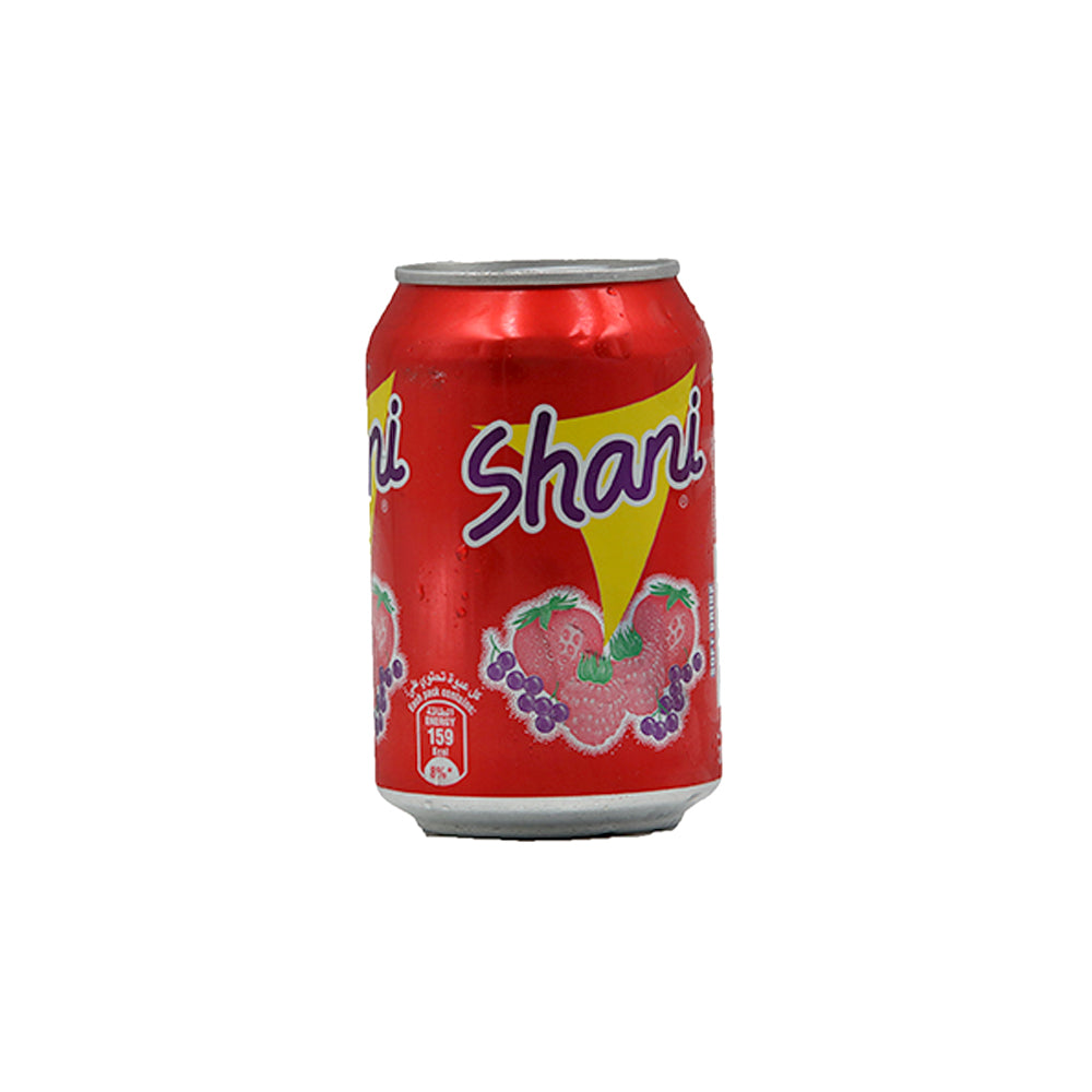 Shani Fruit Flavor Drink 300ml - Snapcart.pk