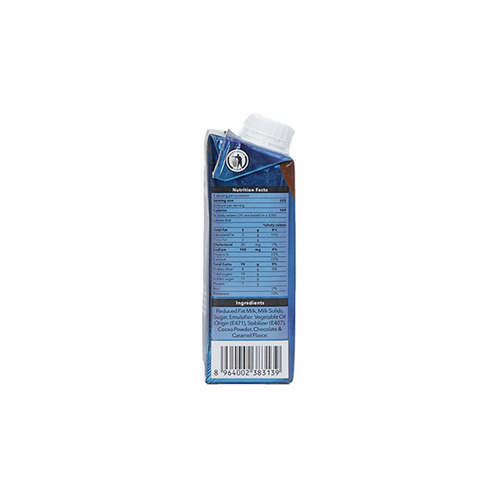 Dayfresh Chocolate Salted Caramel Milk 225ml - Snapcart.pk
