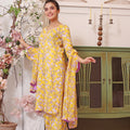 Feathers Unstitched 3 Piece Summer Collection-VASl-FT103