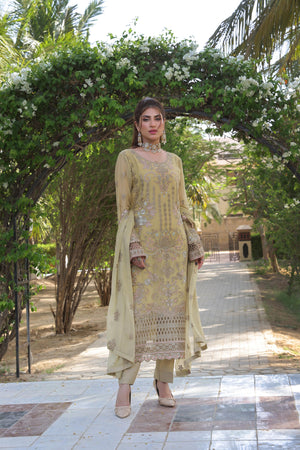 Dressline Semi Stitched 3 Piece Luxury Emb Chiffon Collection