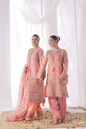 Dressline Ilaan Luxury Unstitched 3 Piece Emb Organza Dress