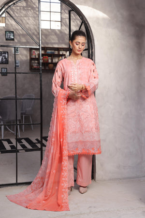 Dressline Salina Emb Sophistication Reimagined Unstitched Chikankari & Cutwork Bana Dora Lawn With Diamond Digital Dupatta & Dyed Cambric Trousers