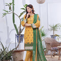 Dressline Launching New Stitched 3 Piece Emb Print Lawn Collection
