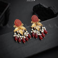 Zeesy Gorgeous Studs Earrings