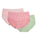 Pack of 3 Plus Size Panty - Soft Daily