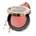 Shein- Long-wearing Powder Brush B01