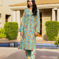 Zarasi.Pk Stitched 2 Piece Printed Lawn Collection'2025-Summer Bloom