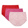 Pack of 3 Plus Size Panty - Blossom Trio