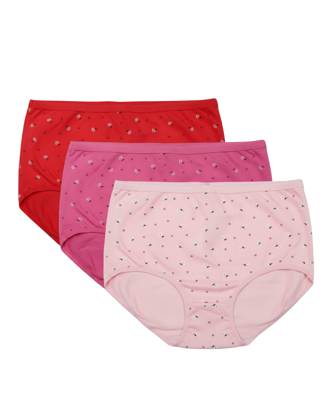 Pack of 3 Plus Size Panty - Blossom Trio