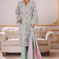 Bin Saeed Stitched 3 Piece Exclusive Printed Khaddar Vol-09 Collection'2025-WK-2520-Pista